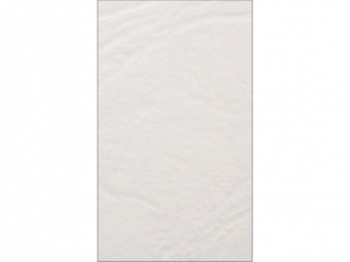 Karton wizyt�wkowy KRESKA W09 A4 20ark. 246g - sk�ra bia�y