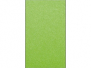 Karton wizyt�wkowy KRESKA W40 A4 20ark. 240g - g�adki zielony