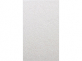 Karton W64 wizyt. A4-10 bia�y metalicznyKarton W64 wizyt. A4-10 bia�y metaliczny
