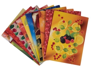 Teczka z gumk� A4 KRESKA (ow)